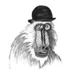 Day 18: Baboon in a Bowler Hat